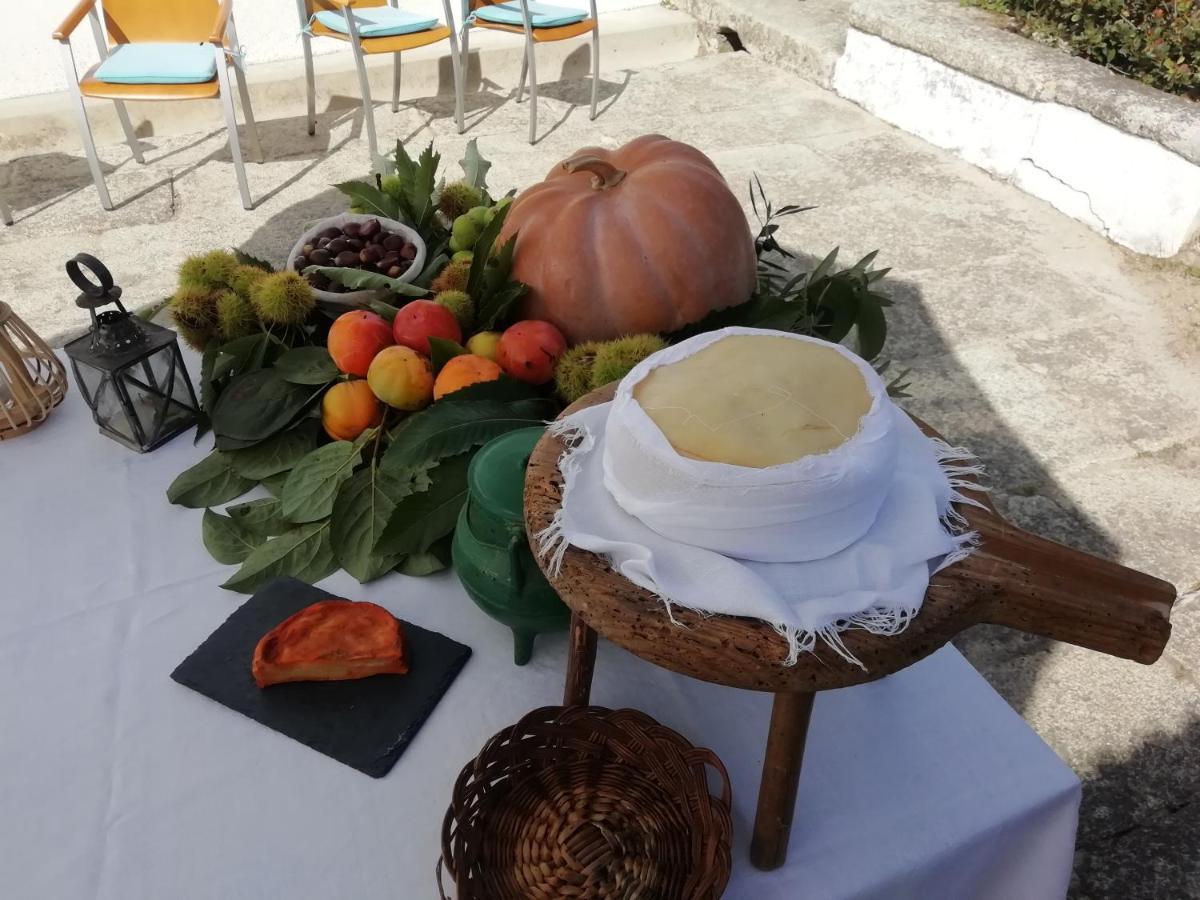 Quinta da Tapada Villa Avo Luaran gambar
